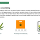 Image for article titled Presentation: The future of the cannabis industry